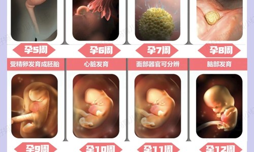小儿四维亚铁散副作用网 - 为你提供四维亚铁散补铁效果怎么样、状元娃小儿四维亚铁散